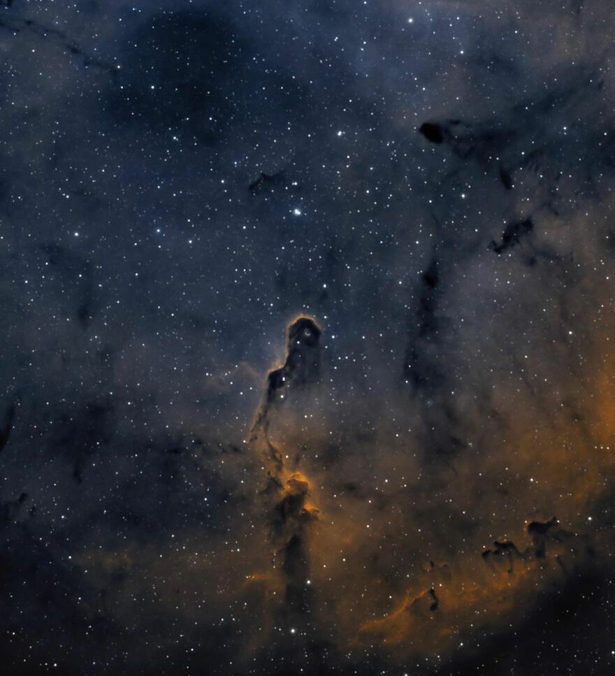 Ic 1396 - The Elephant Trunk Nebula