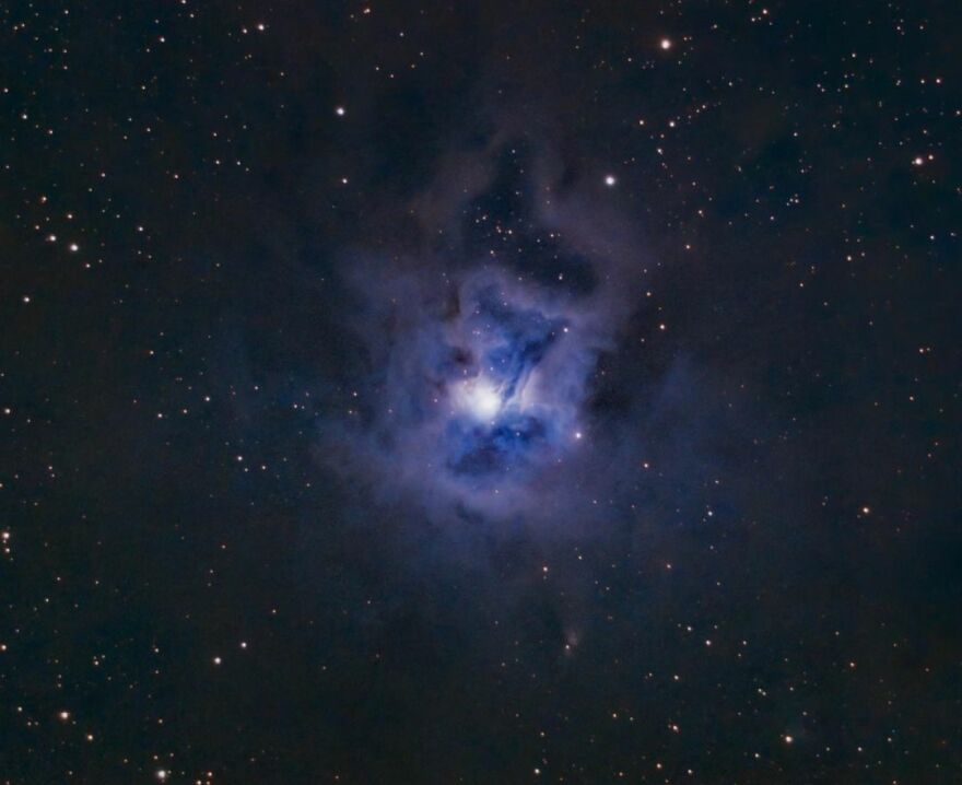 Ngc 7023 - The Iris Nebula