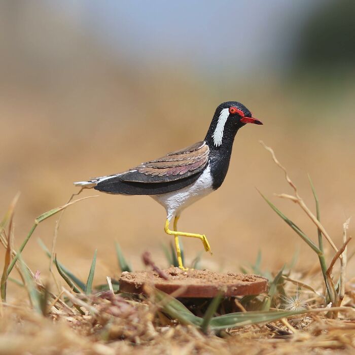 All The Beauty Of Nature Shown In Paper Cutouts By An Indian Artist