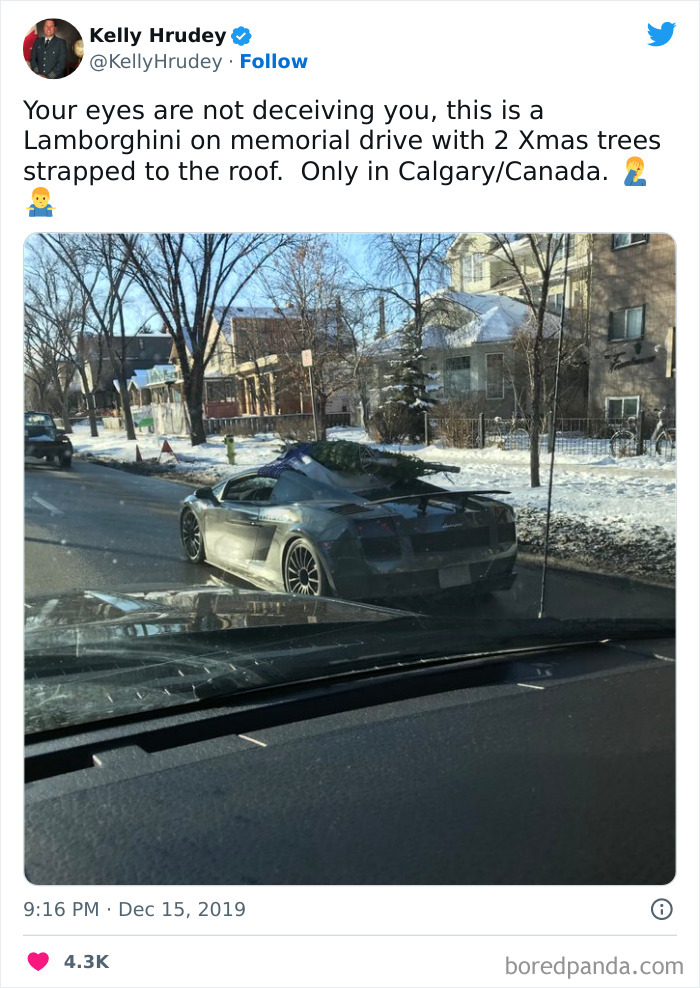 Funny-Canadian-Tweets