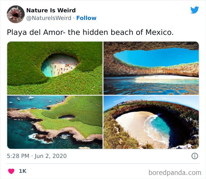 Weird-Interesting-Nature-Facts-Pics