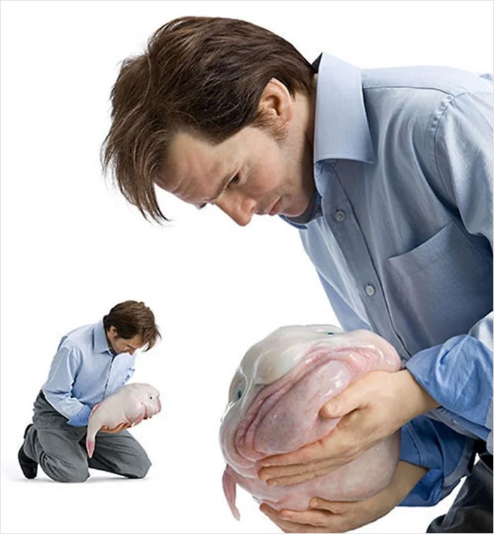 David Grieving Over His Blobfish