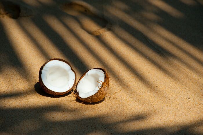 Los cocos 