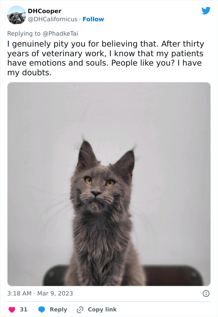 “Your Dog And Cat Do Not ‘Love’ You”: Person Attempts To ‘Debunk Myth’ On The Nature Of Pet-Owner Relationships, Gets Slammed Heavily In Return “Your Dog And Cat Do Not ‘Love’ You”: Person Attempts To ‘Debunk Myth’ On The Nature Of Pet-Owner Relationships, Gets Slammed Heavily In Return