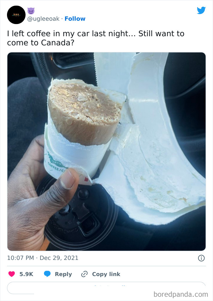 Funny-Canadian-Tweets