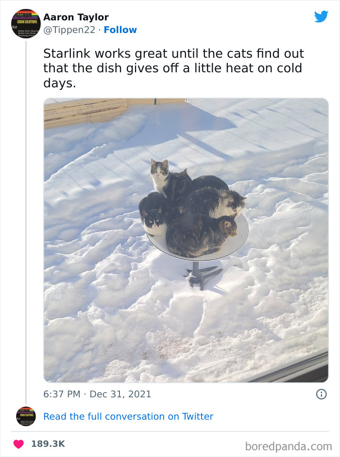 Funny-Canadian-Tweets