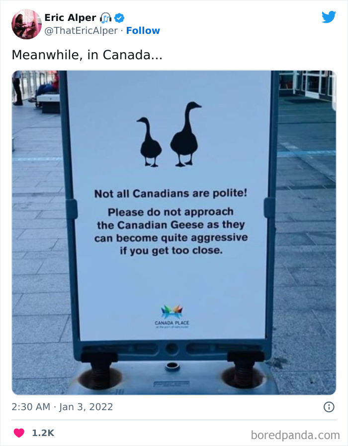Funny-Canadian-Tweets