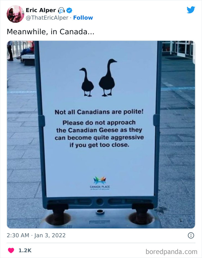 86 Funny Canadian Tweets That Tell It Like It Is Bored Panda