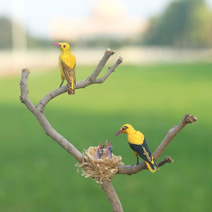 All The Beauty Of Nature Shown In Paper Cutouts By An Indian Artist