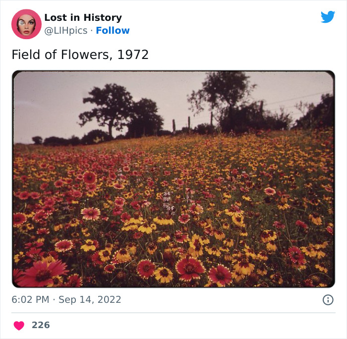 Lost-In-History-Twitter