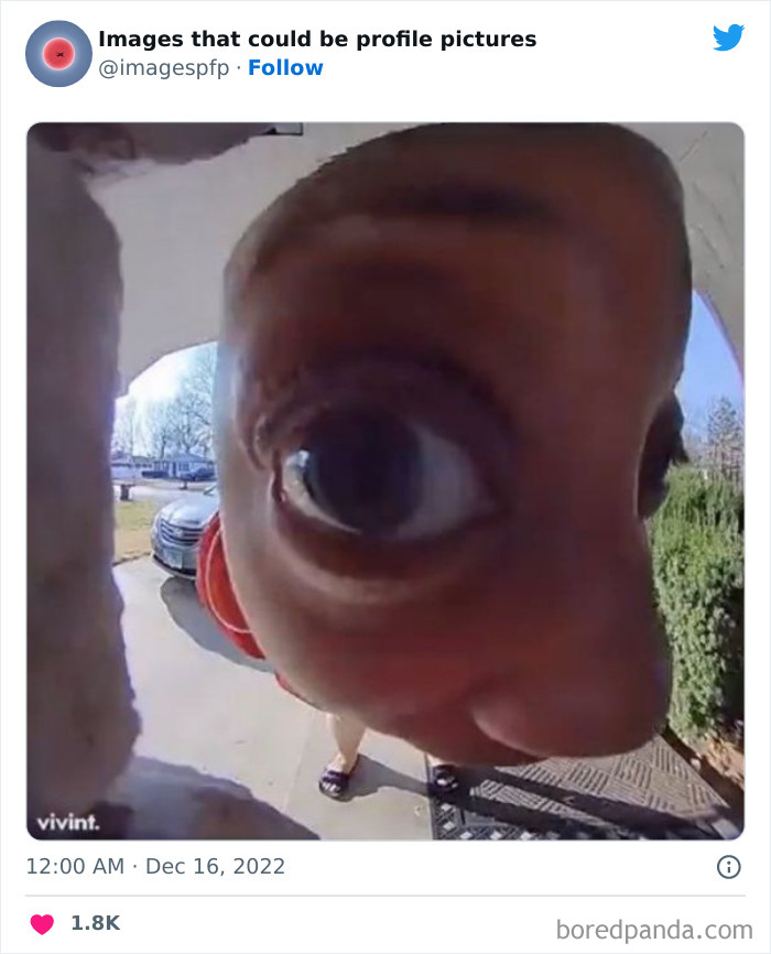 Funny Profile Pics To Use Funny Profile Pics To Use