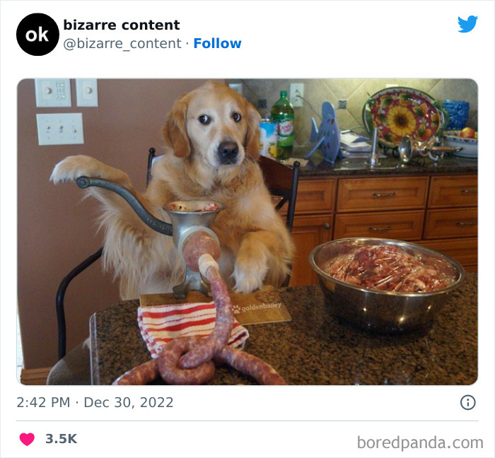 50 Unexplainable Posts From The “Bizarre Content” Twitter Page That Are Guaranteed To Baffle You