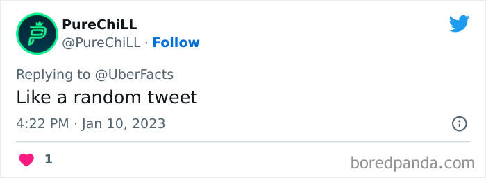 Weirdest-Things-People-Did-While-Brain-Autopilot