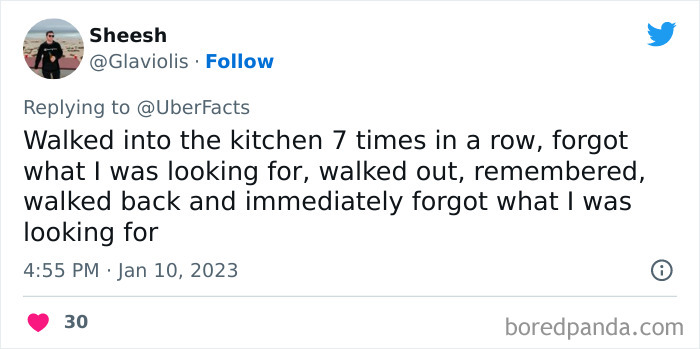 Weirdest-Things-People-Did-While-Brain-Autopilot