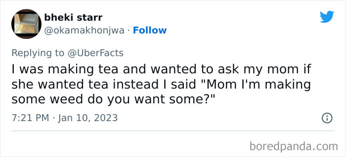 Weirdest-Things-People-Did-While-Brain-Autopilot