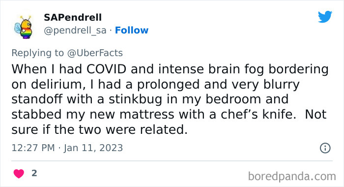 Weirdest-Things-People-Did-While-Brain-Autopilot