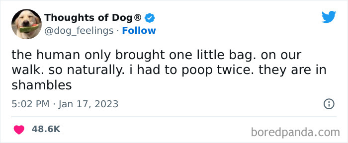 Funny-Tweets-Thoughts-Of-Dog