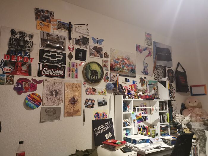 People Are Not Surprised, They Are More... Taken Aback On How Much / What I Have Pinned To My Wall Lol