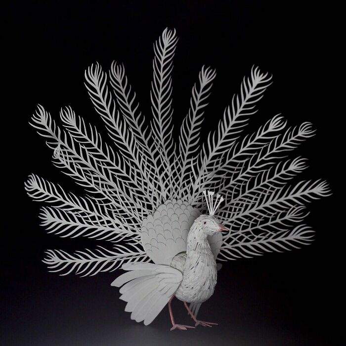 All The Beauty Of Nature Shown In Paper Cutouts By An Indian Artist