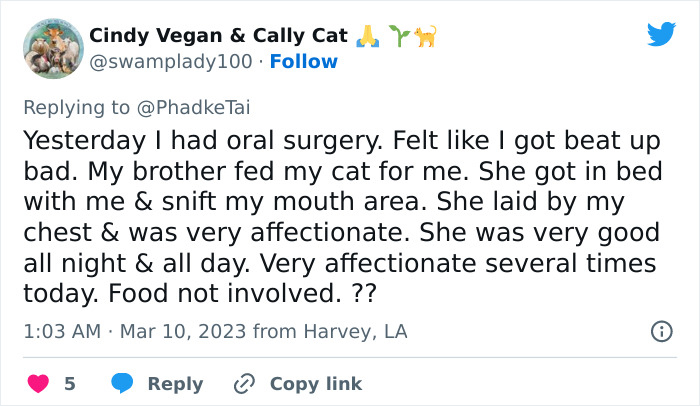 “Your Dog And Cat Do Not ‘Love’ You”: Person Attempts To ‘Debunk Myth’ On The Nature Of Pet-Owner Relationships, Gets Slammed Heavily In Return “Your Dog And Cat Do Not ‘Love’ You”: Person Attempts To ‘Debunk Myth’ On The Nature Of Pet-Owner Relationships, Gets Slammed Heavily In Return