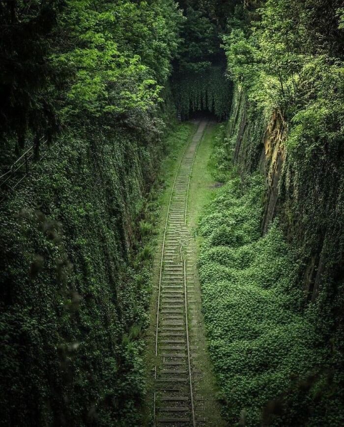 Abandoned Railway Track In Paris