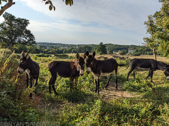 I Discovered A Several-Hundred-Year-Old Abandoned Farmhouse In France (18 Pics) I Discovered A Several-Hundred-Year-Old Abandoned Farmhouse In France (18 Pics)