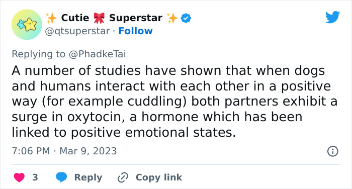 “Your Dog And Cat Do Not ‘Love’ You”: Person Attempts To ‘Debunk Myth’ On The Nature Of Pet-Owner Relationships, Gets Slammed Heavily In Return “Your Dog And Cat Do Not ‘Love’ You”: Person Attempts To ‘Debunk Myth’ On The Nature Of Pet-Owner Relationships, Gets Slammed Heavily In Return