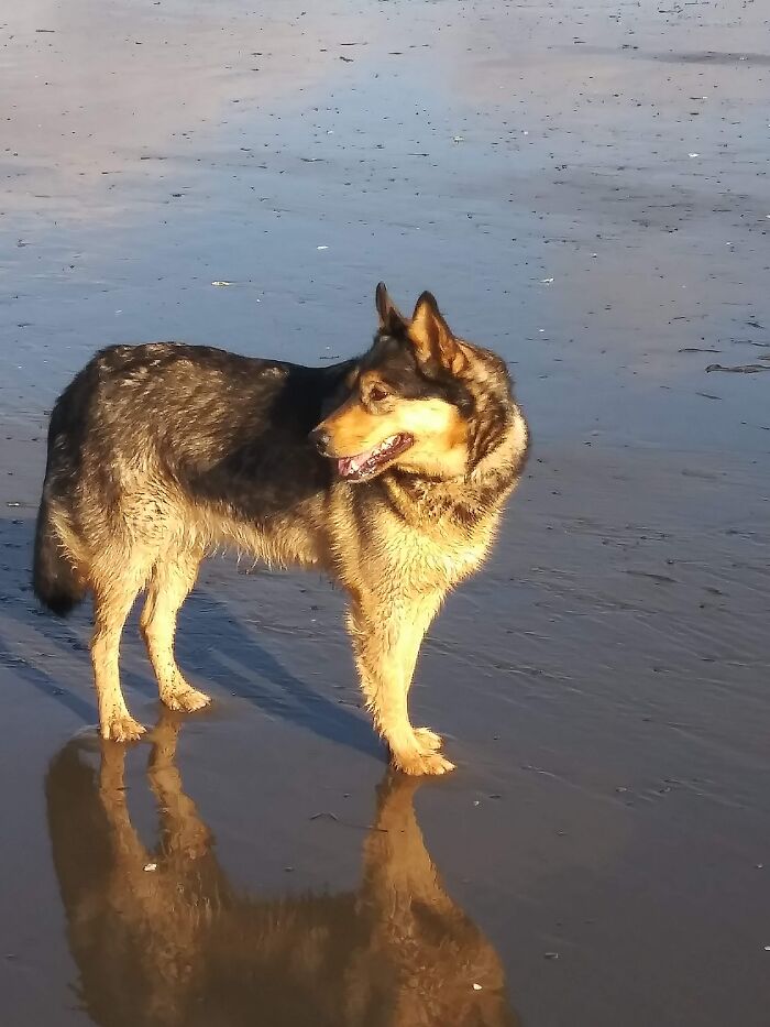 Rylee Loving Life At The Beach