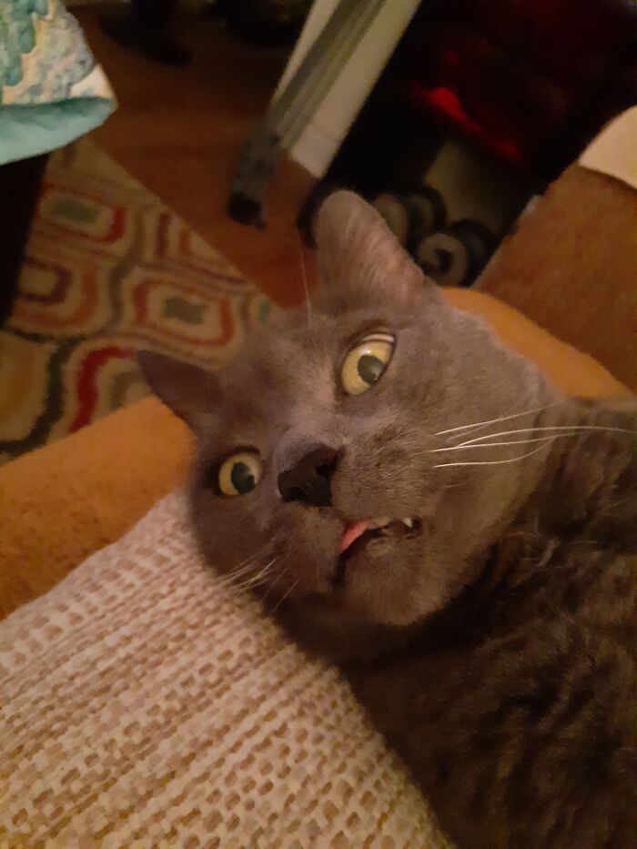 I Sat On The Sofa Next To Him And Woke Him Up