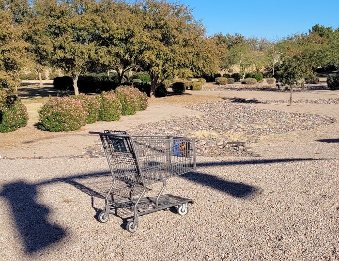 A Very Abandoned Shopping Cart