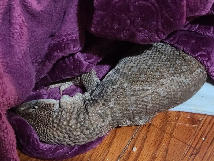 She Likes To Sleep On Her Side