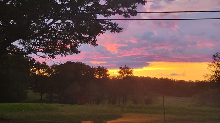 The View From My Front Porch