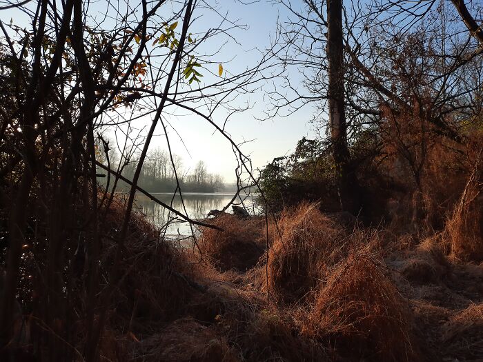 Quite Morning Walk By The Pond