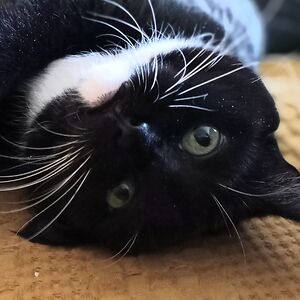 penelopejane191_1 avatar