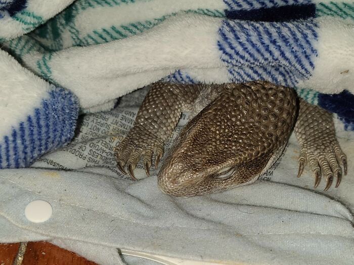 My Sleepy Baby When I Got Home Today