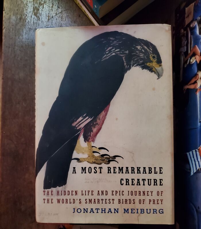 I Love Books About The Nature - Animals, Plants, Weather.. This One Is About Caracaras