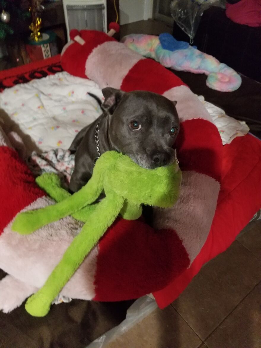 They Call Me A Dog But Im Just A Baby