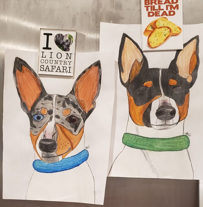 Drawing Random Things. :) Dog On The Left Is Charlie, And On The Right Is Teddy Tato. (Teddy Is Famous, Lol.)