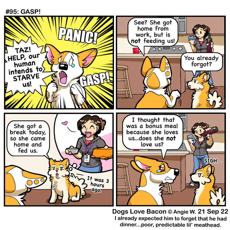 25 Comics That I Drew About The Lives Of My Rescue Dogs!