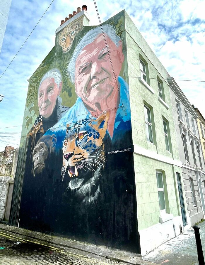 A Tribute To Sir David Attenborough On The Side Of A House In Plymouth, UK