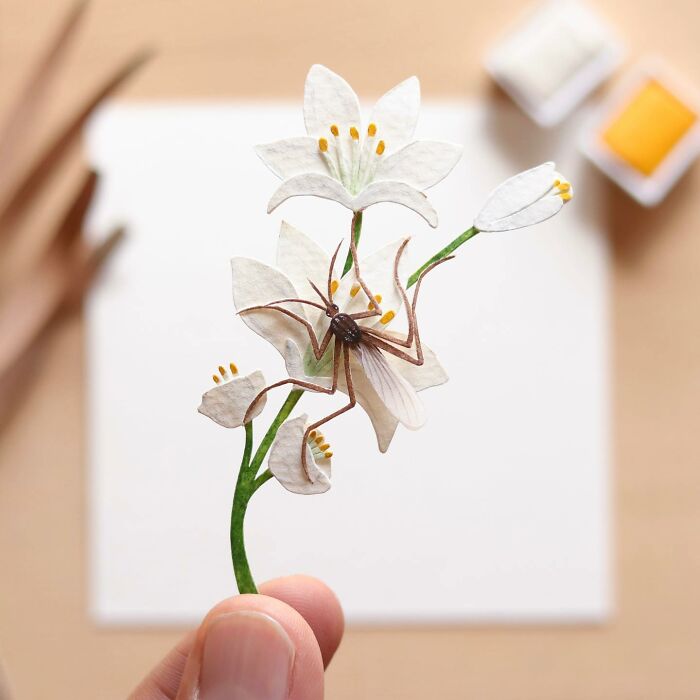 All The Beauty Of Nature Shown In Paper Cutouts By An Indian Artist