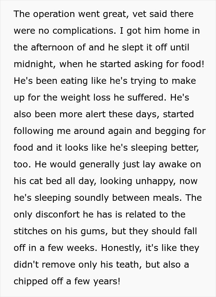 Woman Goes Off On Sister, Calls Her A “Crazy Cat Lady That's Going To End Up Alone” For Refusing To Help Her Out Financially Woman Goes Off On Sister, Calls Her A “Crazy Cat Lady That's Going To End Up Alone” For Refusing To Help Her Out Financially