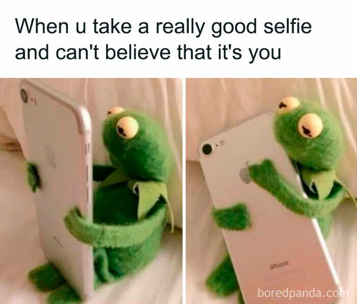 Kermit the Frog taking selfies with a phone, humorously reflecting on self-image and relationship memes.