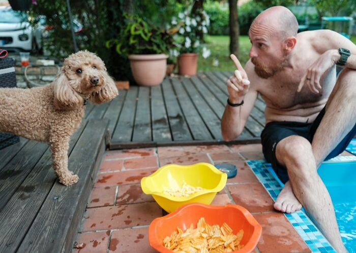 ‘Not A Wedding Photographer’ Captures The Chaos Of People’s Special Day (93 New Pics)