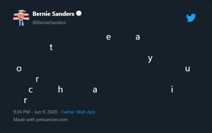 Bernie Says