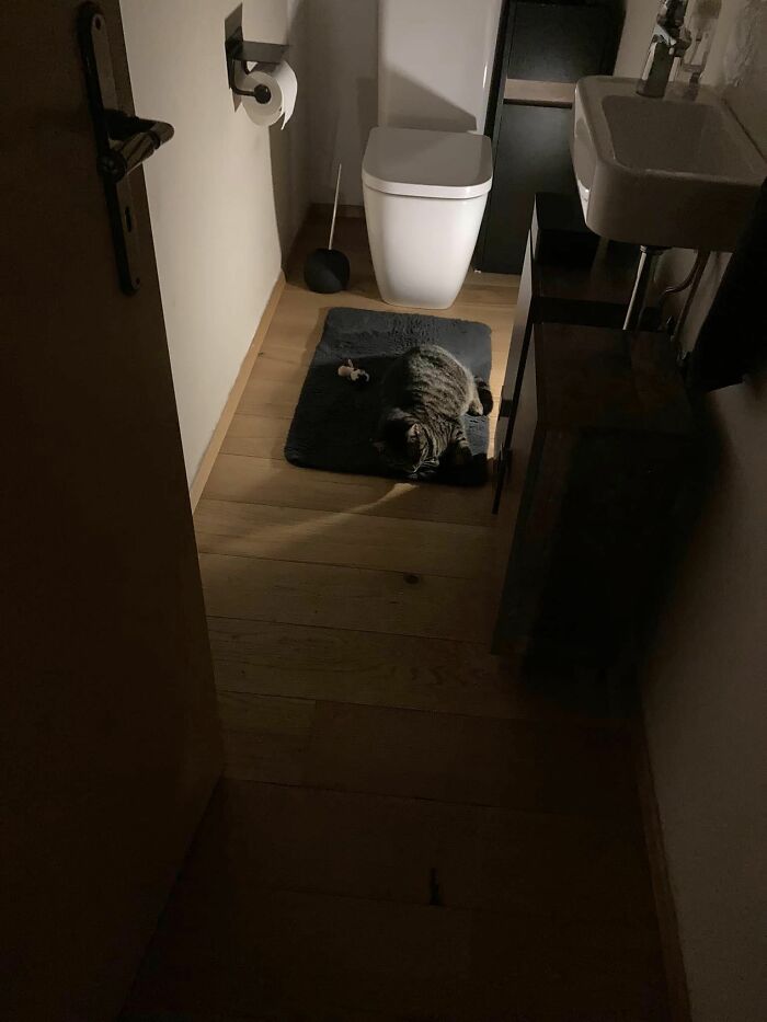 The Young Neighbor Fell Asleep Playing Infront Of My Toilet