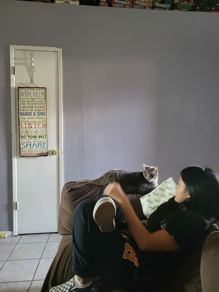 My House, Not My Cat. News Must Have Gotten Around That This Crazy Cat Lady Had Snacks