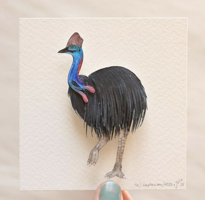 All The Beauty Of Nature Shown In Paper Cutouts By An Indian Artist