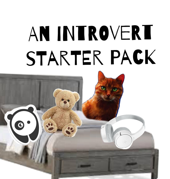 An Introverts Starter Pack (Cat, Stuffed Animal Therapy, Bp, And Headphones To Listen To Music)
