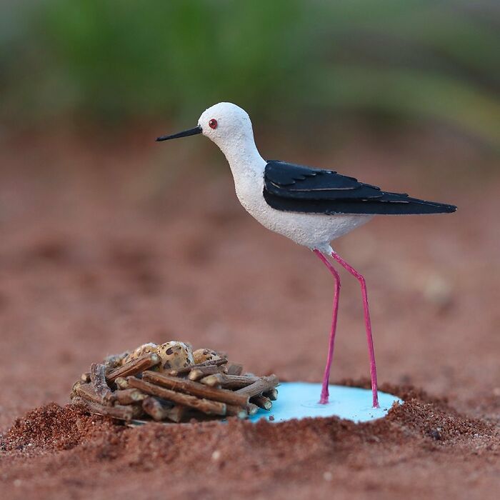 All The Beauty Of Nature Shown In Paper Cutouts By An Indian Artist